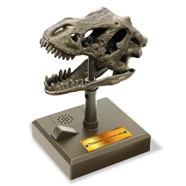 4M Kidzlabs / Roaring T-Rex Skull