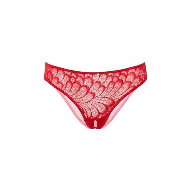 Chilot sexy DARING INTIMATES Lauren Crotchless Hiphugger. design cu dantelă delicată și plasă. culoare roșu. mărime S/M. model 76238