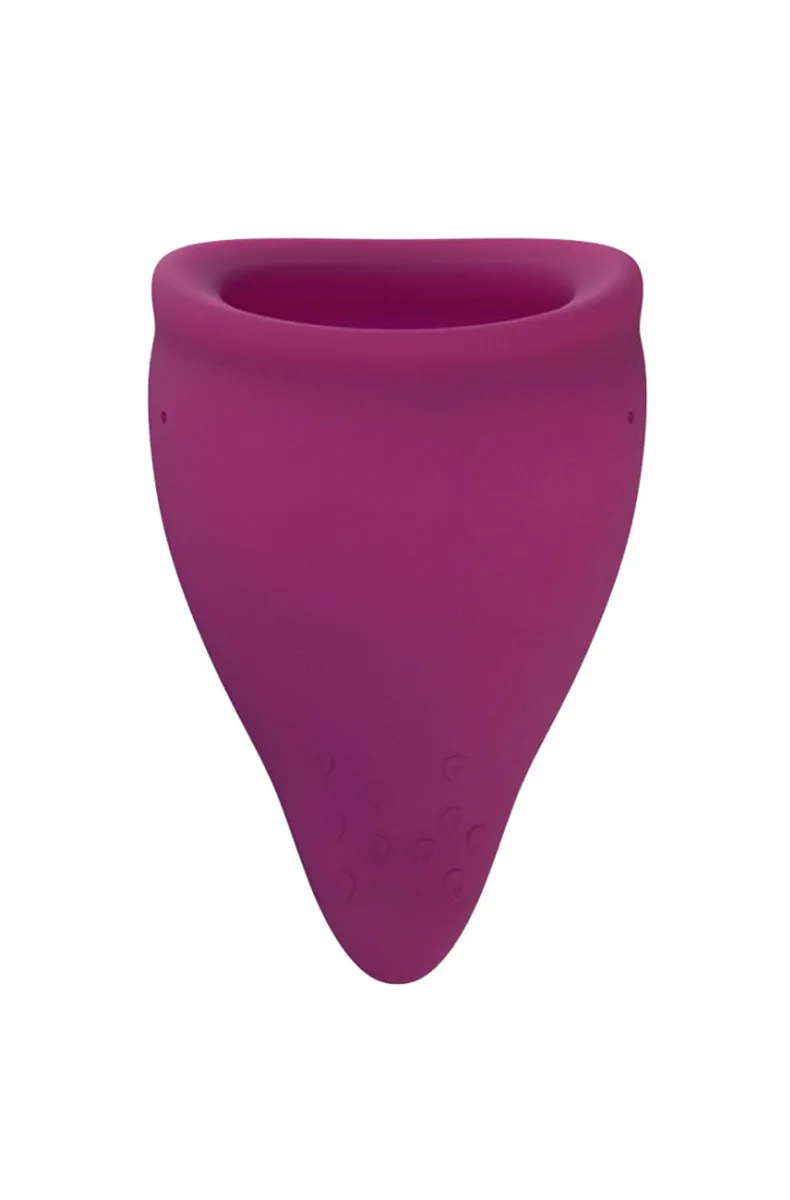 Fun Factory Period Cup