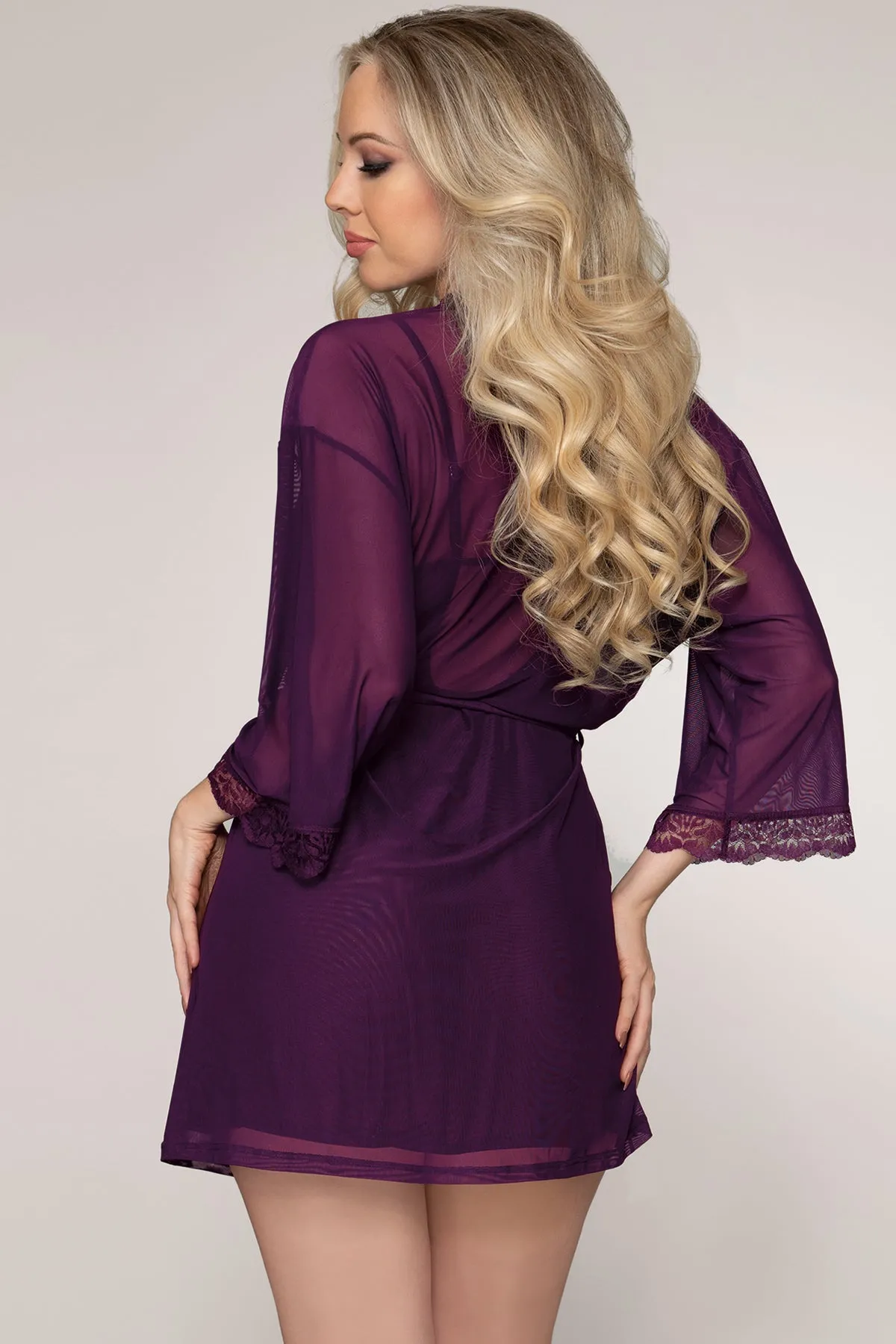 Sheer Mesh Chemise & Robe Set